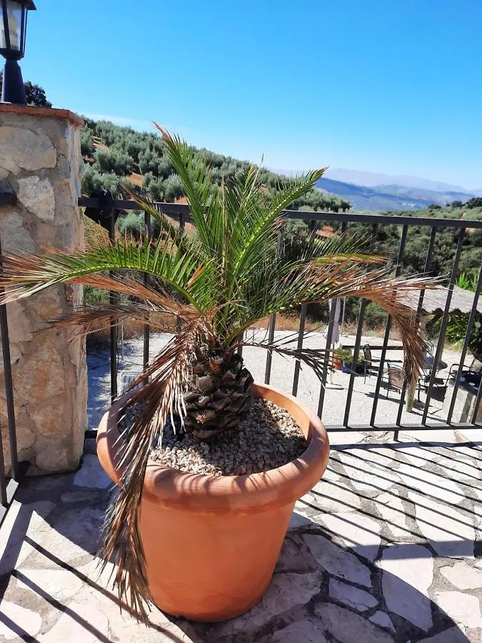Hacienda La Buena Vida B&B En Appartementen Casita Almendas La Carrera de la Vina Apartment